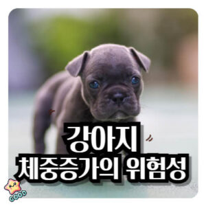 강아지-중성화수술-체중증가