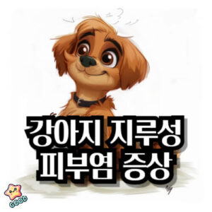 강아지-지루성-피부염