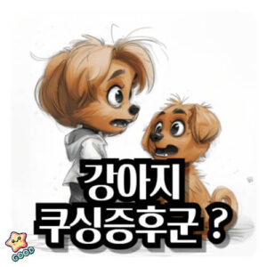 강아지-쿠싱증후군-원인-증상-예방-관리