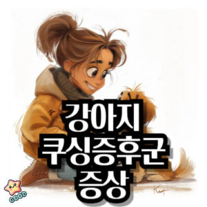 강아지-쿠싱증후군-원인-증상-예방-관리