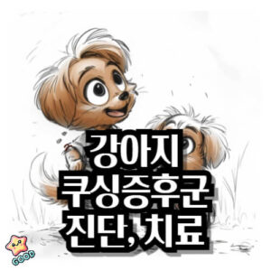 강아지-쿠싱증후군-원인-증상-예방-관리