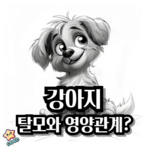 강아지-탈모-식단-예방-증상-원인