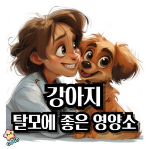 강아지-탈모-식단-예방-증상-원인