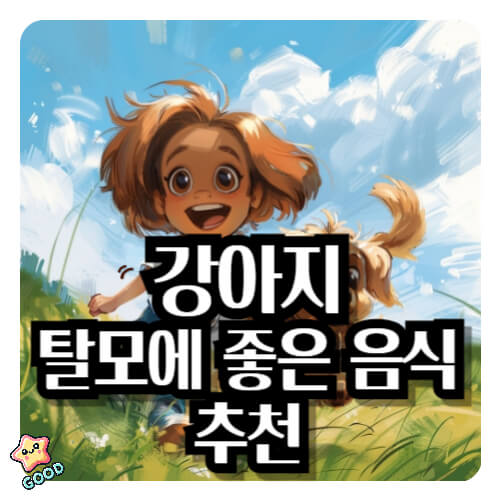 강아지-탈모-식단-예방-증상-원인