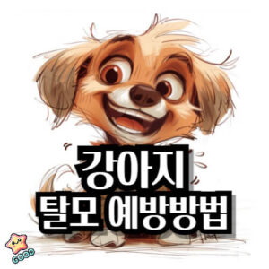 강아지-탈모-식단-예방-증상-원인
