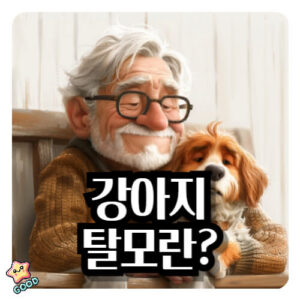 강아지-탈모-원인-증상