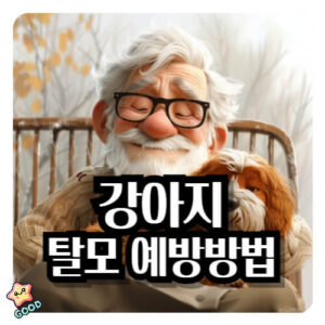 강아지-탈모-원인-증상