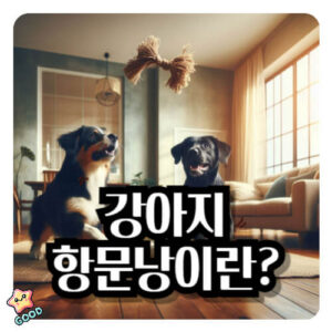 강아지-항문낭