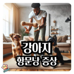 강아지-항문낭