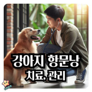 강아지-항문낭