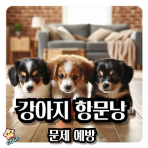 강아지-항문낭