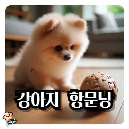 강아지-항문낭