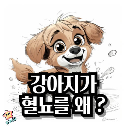 강아지-혈뇨-원인-증상-치료법