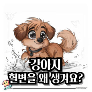 강아지-혈뇨-원인-증상-치료법