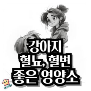 강아지-혈뇨-혈변-식단-좋은-영양-성분