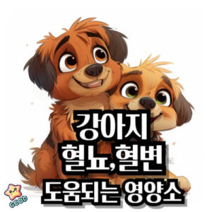 강아지-혈뇨-혈변-식단-좋은-영양-성분