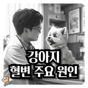 강아지-혈변-증상-원인-치료법