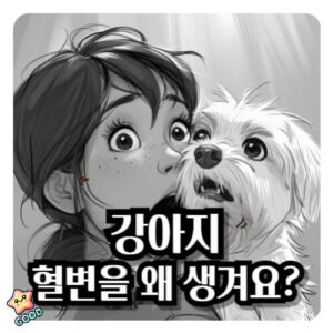 강아지-혈변-증상-원인-치료법