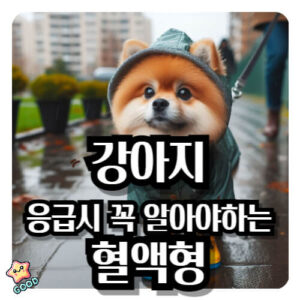 강아지-혈액형-중요