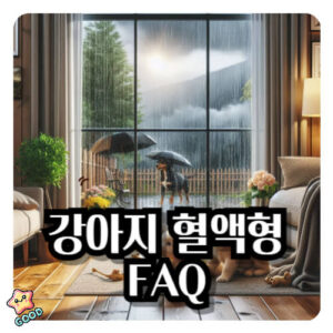 강아지-혈액형-중요