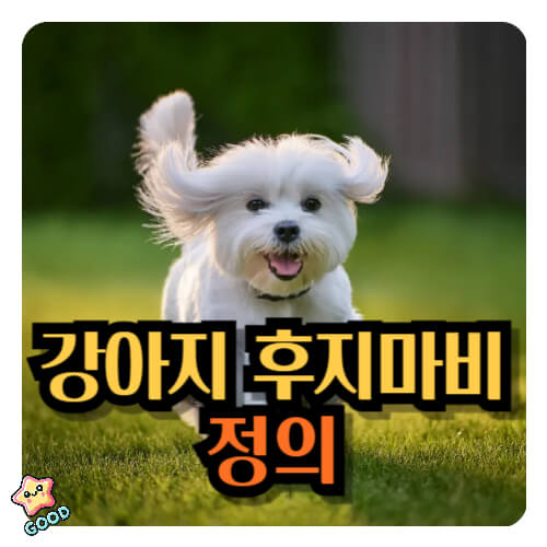 강아지-후지마비-10