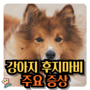강아지-후지마비-10