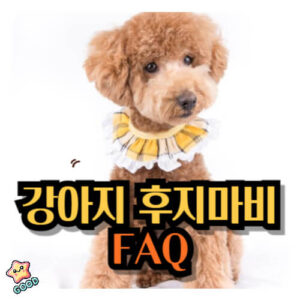 강아지-후지마비-10
