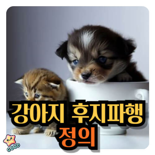 강아지-후지파행-원인-증상-치료법