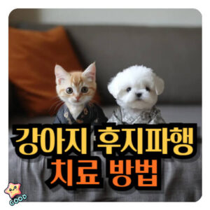 강아지-후지파행-원인-증상-치료법