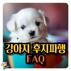 강아지-후지파행-원인-증상-치료법