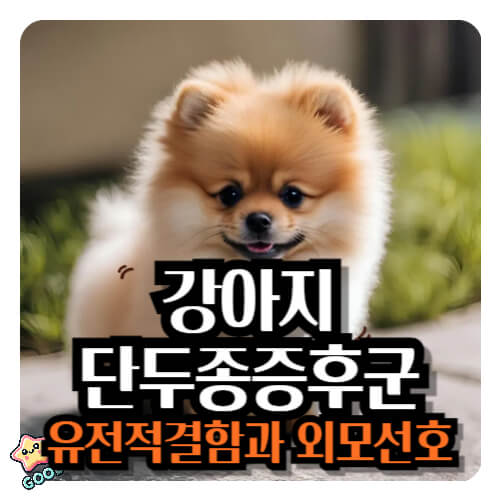 감아지-단두종-증후군