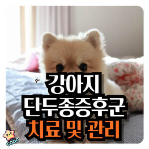 감아지-단두종-증후군