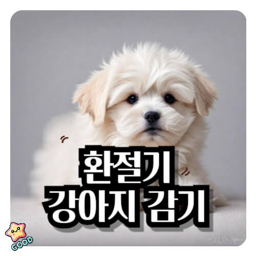 환절기-강아지-감기-증상-원인-예방