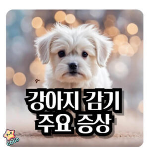 환절기-강아지-감기-증상-원인-예방