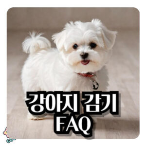 환절기-강아지-감기-증상-원인-예방