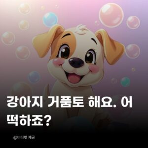 강아지-거품토