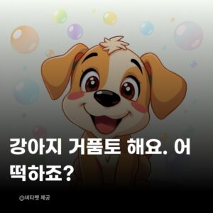 강아지-거품토