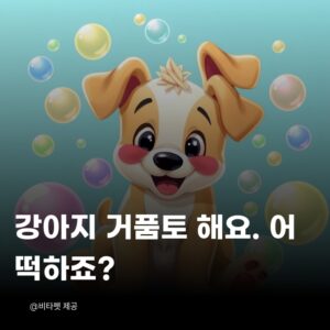 강아지-거품토