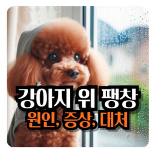 강아지-위-팽창