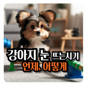 강아지-눈-뜨는-시기
