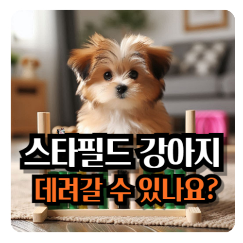 스타필드-강아지