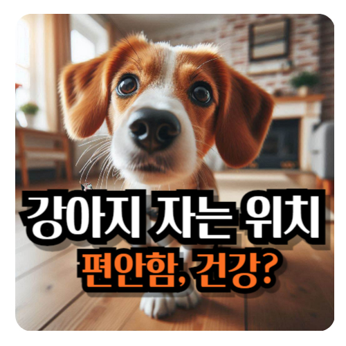 강아지-자는-위치