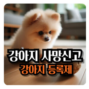 강아지-사망신고