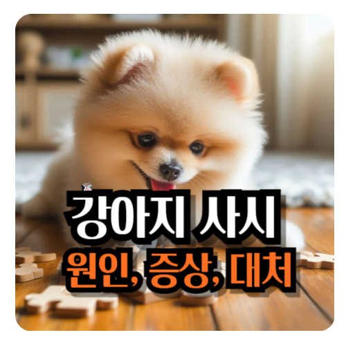 강아지-사시