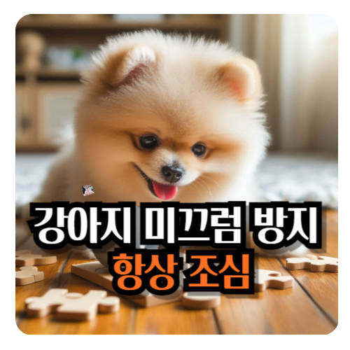 강아지-미끄럼-방지