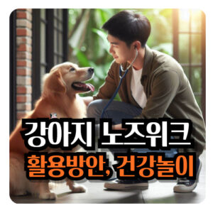 강아지-노즈워크