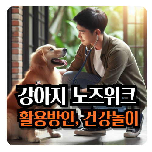 강아지-노즈워크