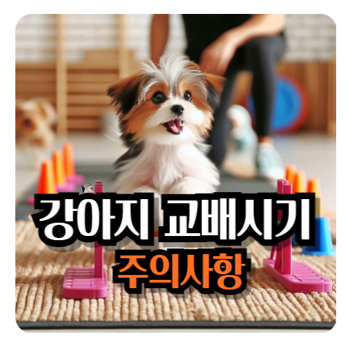 강아지-교배-시기