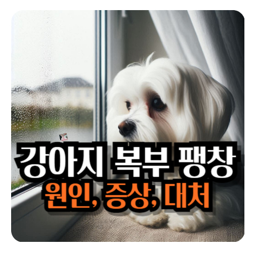 강아지-복부-팽창