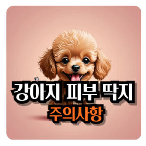 강아지-피부-딱지